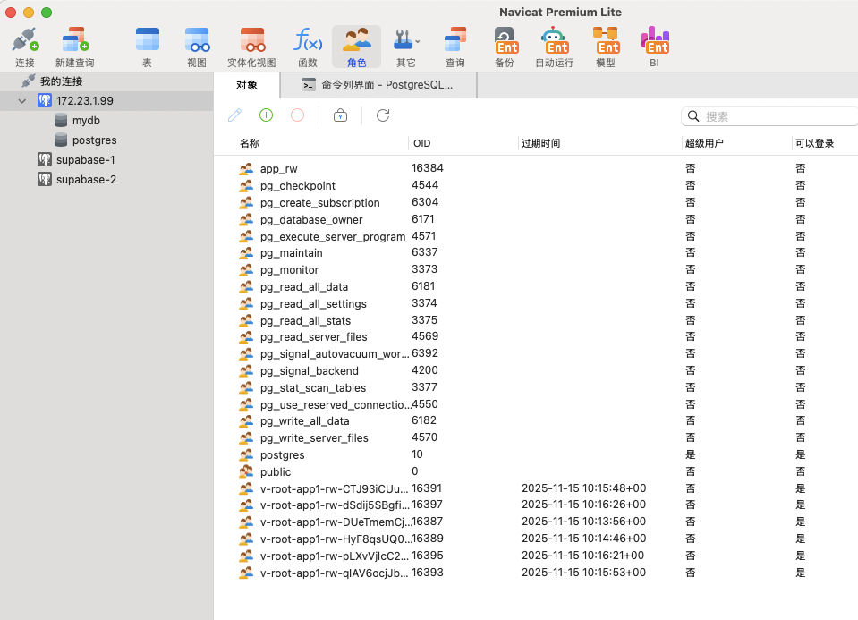 Navicat role list showing multiple v-root-app1-rw-* roles with individual expiry timestamps